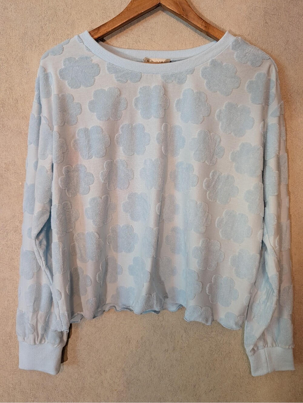 ALTARD STATE light blue cropped floral blouse sz L